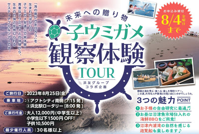 【受付終了】子ウミガメ観察体験ツアー開催