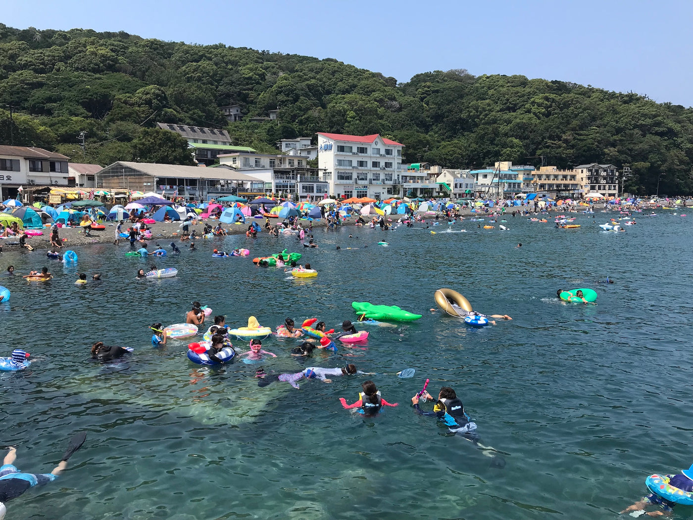 活動歴および当時の関連ビジュアル記録